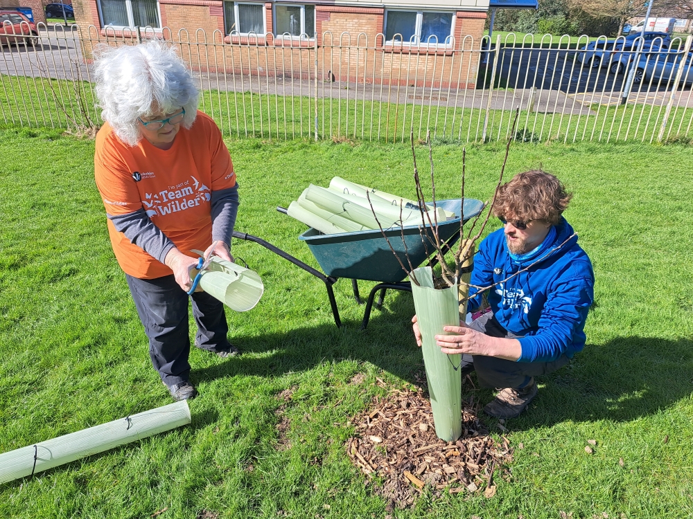 Two people planting a tree.