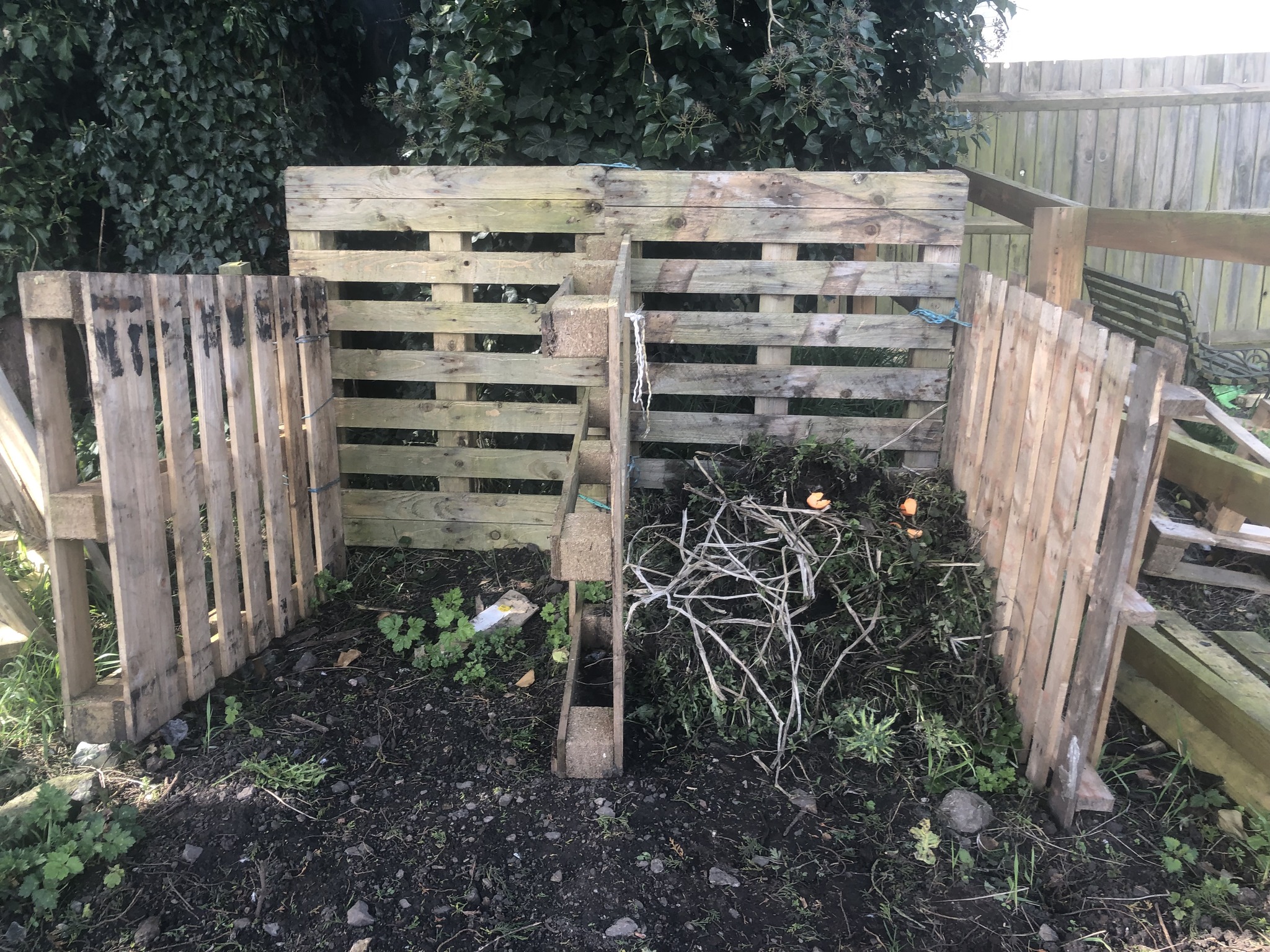 A compost heap made from pallets